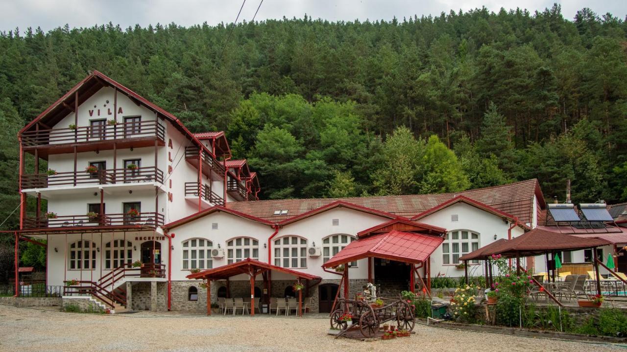 Păltiniş Pensiunea Alpin מראה חיצוני תמונה