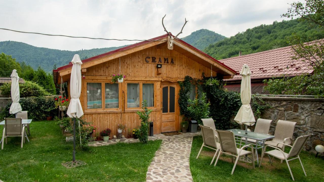 Păltiniş Pensiunea Alpin מראה חיצוני תמונה