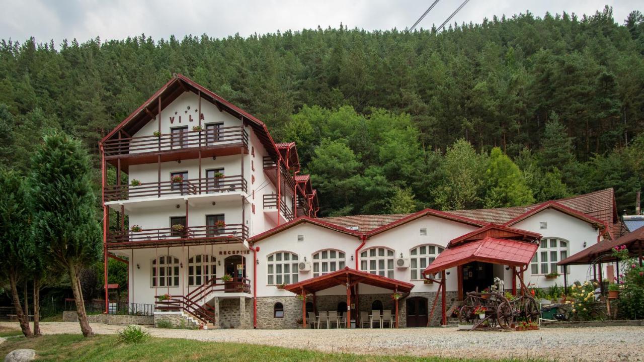 Păltiniş Pensiunea Alpin מראה חיצוני תמונה